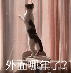 4cf920239e9a4f7f6bdb9c1f956b8a33_FjXW0ww2Z76JPIacqRtH_SjWDA80.png