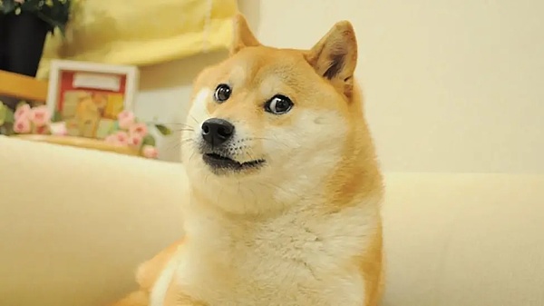 bdc65c9b46b5b15a4caf40a10b7818d2_6_5s3n9mez26.png