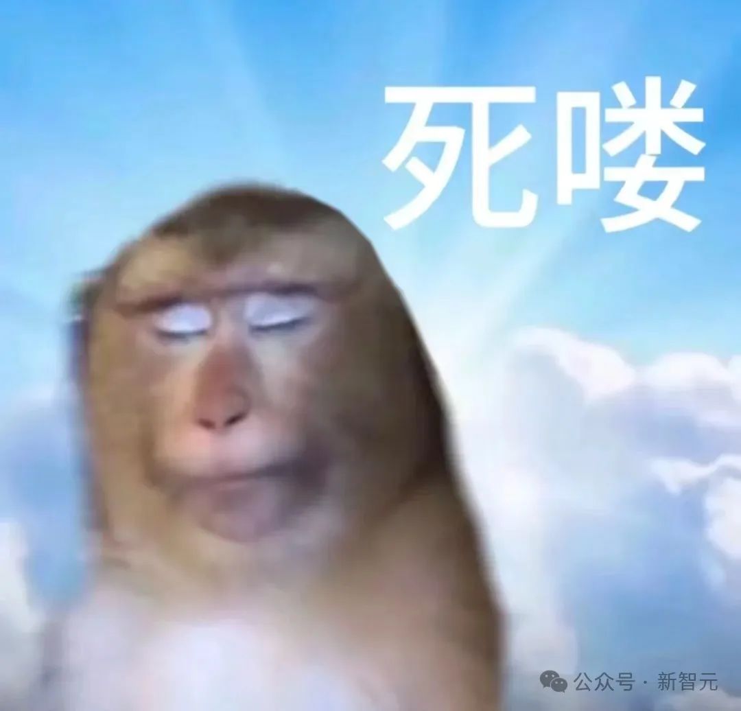 97deb8e9414dfc57a76bbd2b5eb66887_Fv98Q1vdW3aa1G0n-PSxxX3Mxorc.jpg