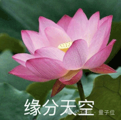 8d63e44f4f90ed6a4195c08217719449_FhsZPCOqwbmrPdVfkA61Ge-ihKS0.png